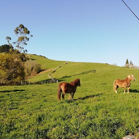 Agroturismo Pagoederraga Orio Eksteriør bilde
