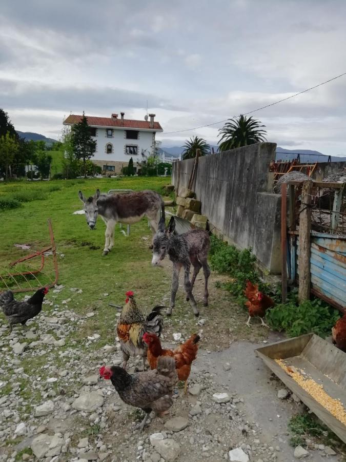 Agroturismo Pagoederraga Orio Eksteriør bilde