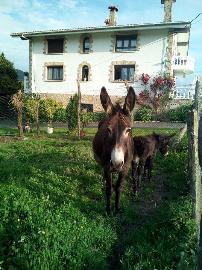 Agroturismo Pagoederraga Orio Eksteriør bilde